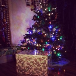 Ok, I may have purchased a few presents... but they're VERY functional.